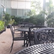 Terrace Garden Contractor in Chennai