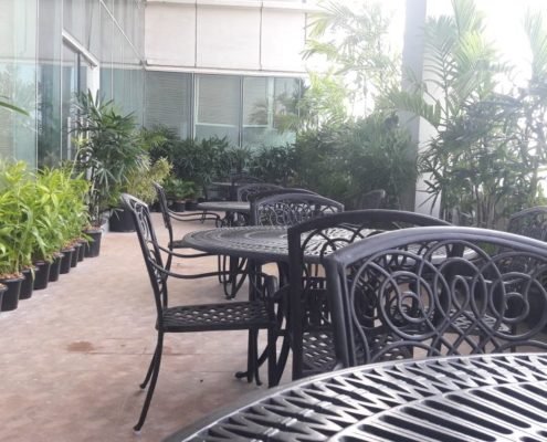 Terrace Garden Contractor in Chennai